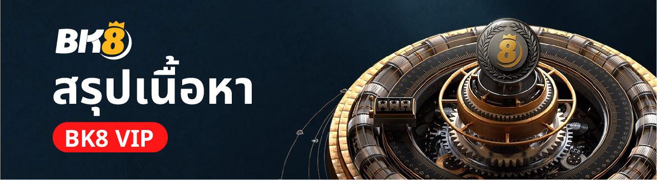 Bk8 vip สิทธิพิเศษดีๆสำหรับลูกค้าคนพิเศษของเรา 9 สรุป Bk8 vip
